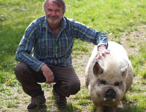 SAM NEILL: CENTRAL OTAGO IS ALMOST AT CAPACITY